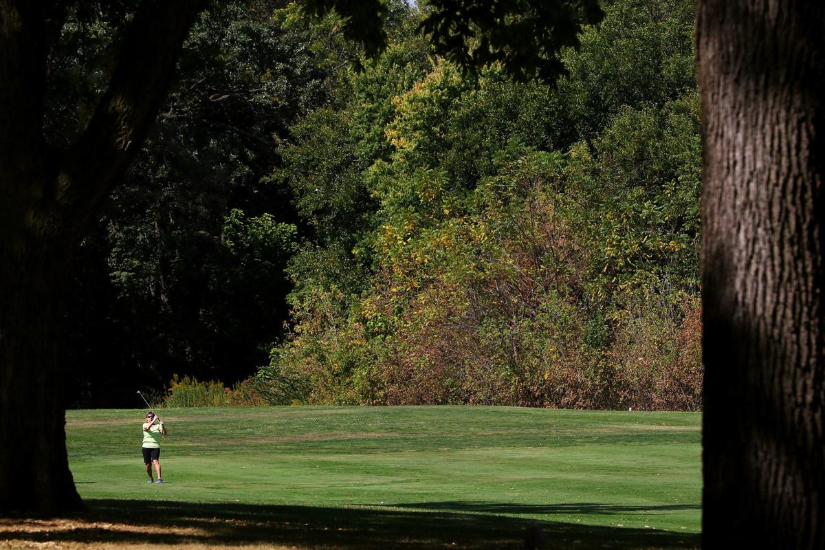 5df411dc52b83.image.jpg arsenol island golf course 2.jpg